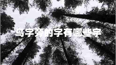 鳥(niǎo)字旁的字有哪些字