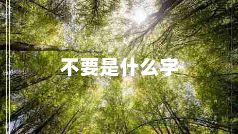 不要是什么字