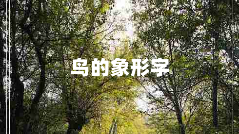 鳥(niǎo)的象形字