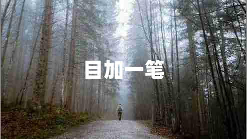 目加一筆