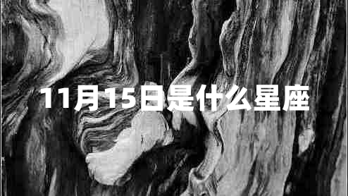 11月15日是什么星座