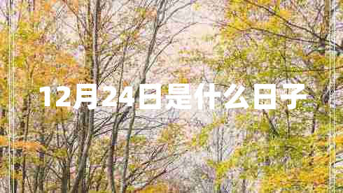 12月24日是什么日子