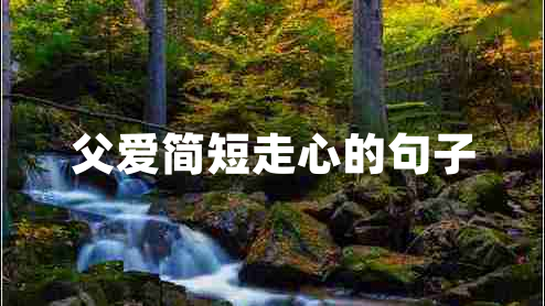父愛(ài)簡(jiǎn)短走心的句子