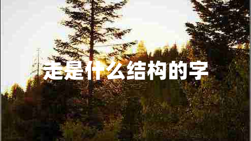 走是什么結構的字