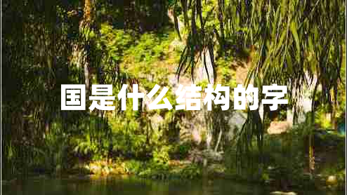 國是什么結構的字