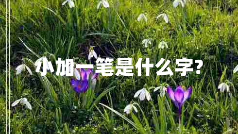 小加一筆是什么字?