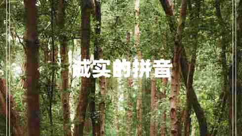 誠實(shí)的拼音