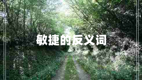 敏捷的反義詞
