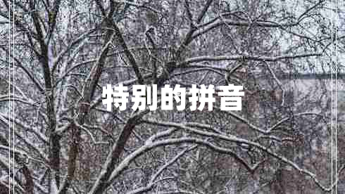 特別的拼音