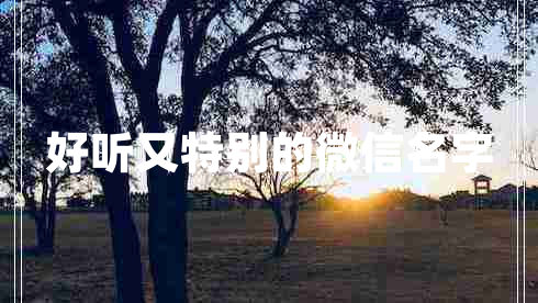 好聽(tīng)又特別的微信名字