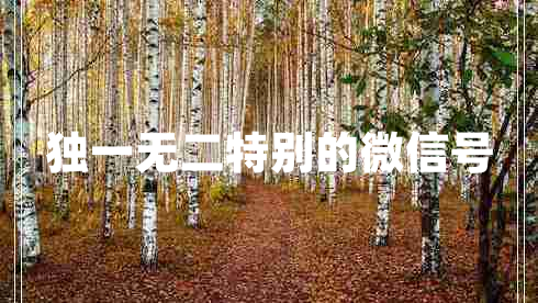 獨一無(wú)二特別的微信號