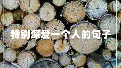 特別深?lèi)?ài)一個(gè)人的句子