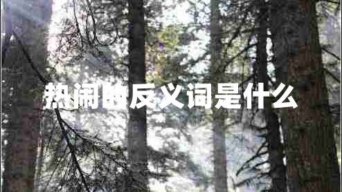 熱鬧的反義詞是什么