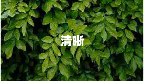 清晰