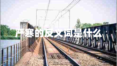 嚴寒的反義詞是什么