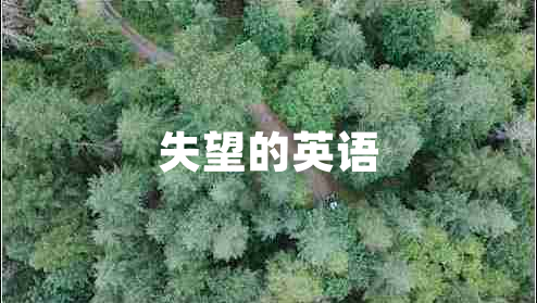 失望的英語(yǔ)