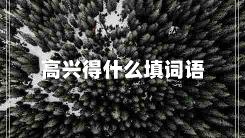 高興得什么填詞語(yǔ)