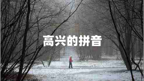 高興的拼音