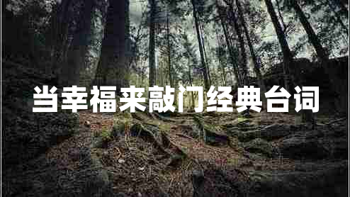 當幸福來(lái)敲門(mén)經(jīng)典臺詞