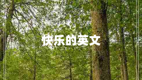快樂(lè )的英文
