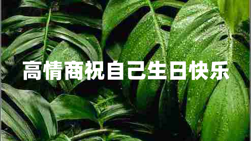 高情商祝自己生日快樂(lè )