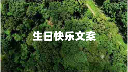 生日快樂(lè )文案