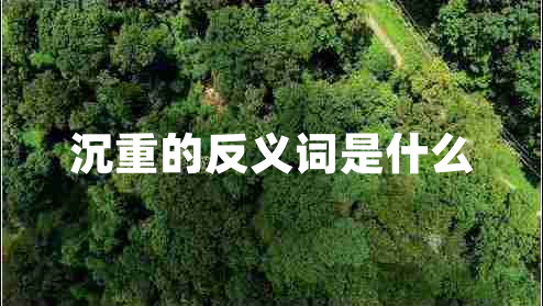 沉重的反義詞是什么