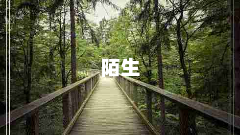 陌生