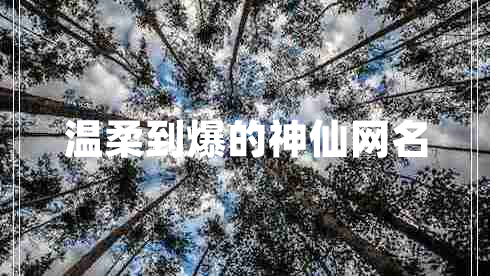 溫柔到爆的神仙網(wǎng)名