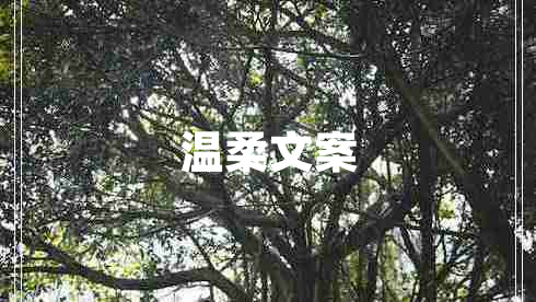 溫柔文案