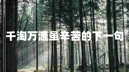 千淘萬(wàn)漉雖辛苦的下一句