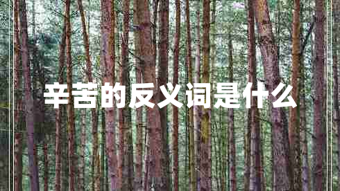 辛苦的反義詞是什么