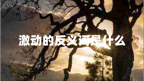 激動(dòng)的反義詞是什么