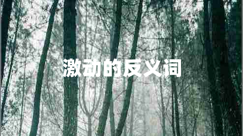 激動(dòng)的反義詞