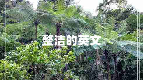整潔的英文