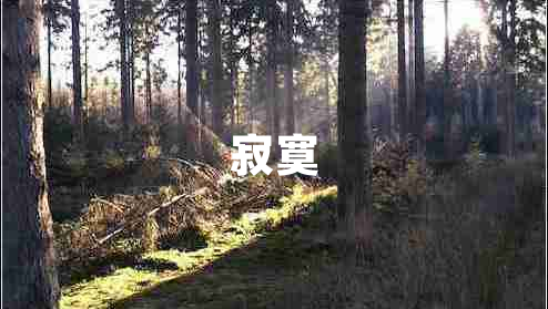 寂寞