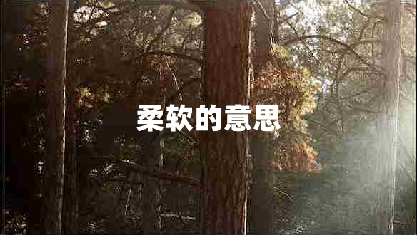 柔軟的意思