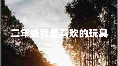 二年級我最喜歡的玩具