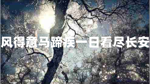 春風得意馬蹄疾一日看盡長安花