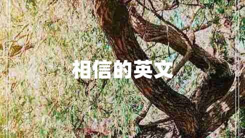 相信的英文