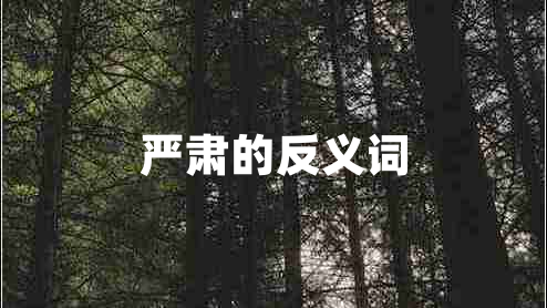 嚴肅的反義詞