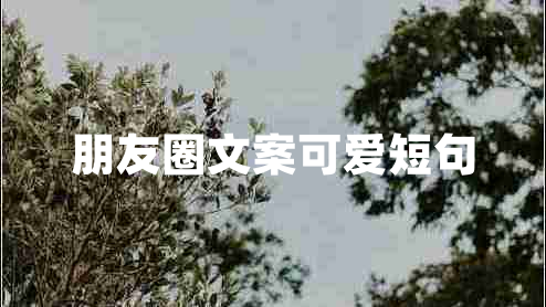 朋友圈文案可愛(ài)短句