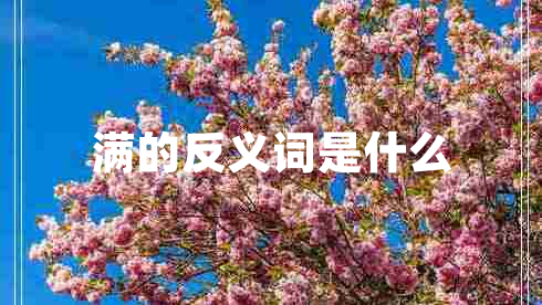滿(mǎn)的反義詞是什么