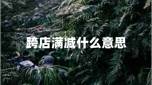 跨店滿(mǎn)減什么意思