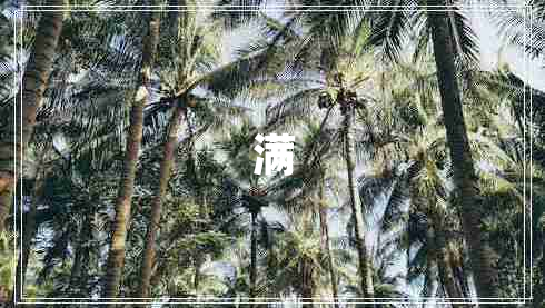 滿(mǎn)