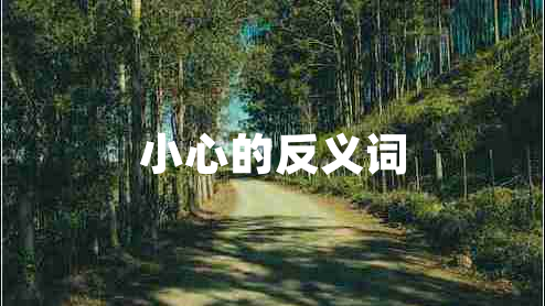 小心的反義詞