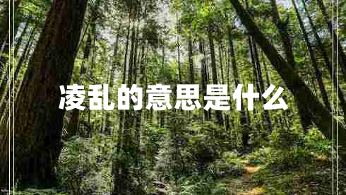 凌亂的意思是什么