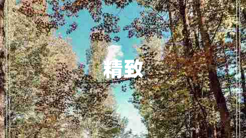 精致