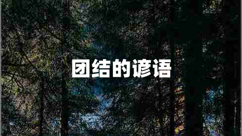 團結的諺語(yǔ)