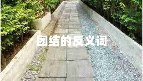 團結的反義詞